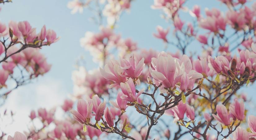 Időjárás 2026. április 7.: A hőmérséklet visszább esik és a szél újra feltámad