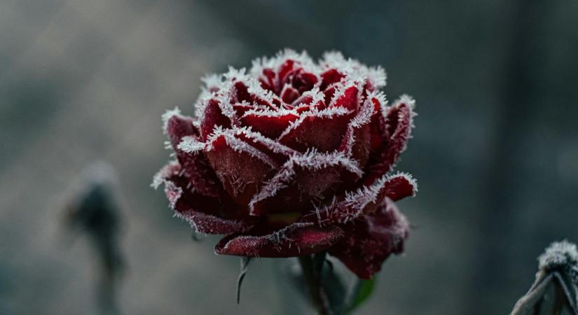 3 napos időjárás: Hideg hajnalok, szeles nappalok