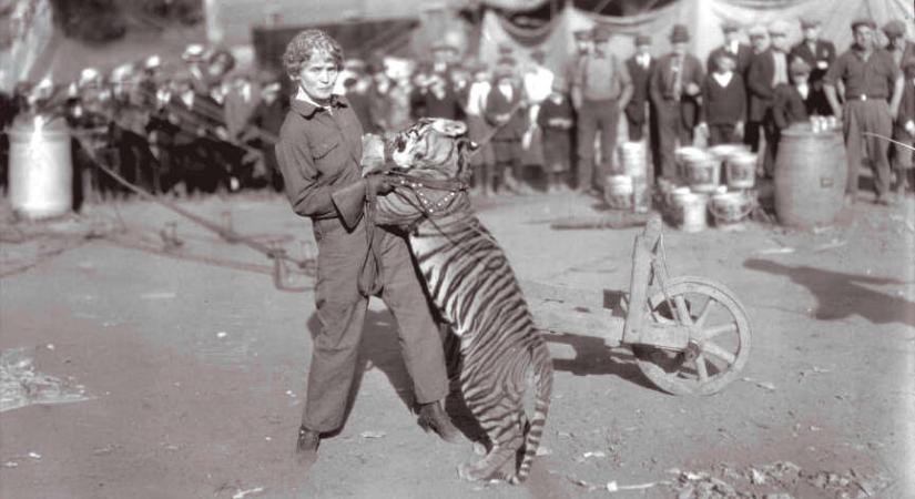 Amerika legismertebb női tigristrénere már a 20. század közepén is elutasította az erőszakos oktatást