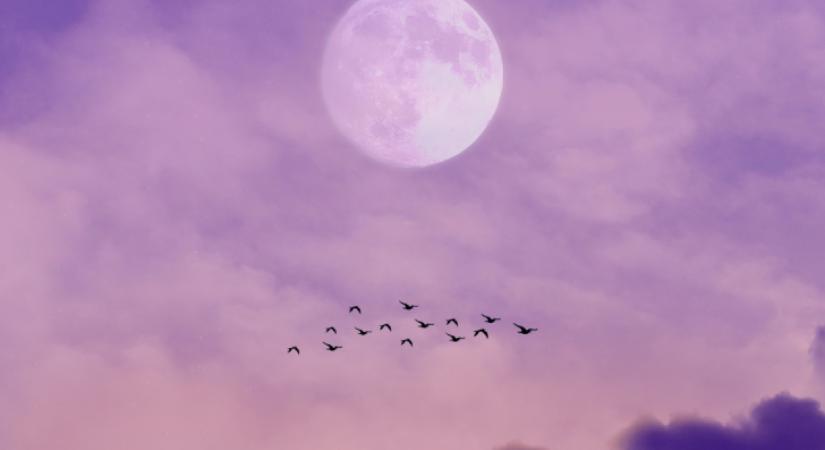 Napi horoszkóp, 2026.04.07: A Szűz sokat köszönhet ma egy barátjának