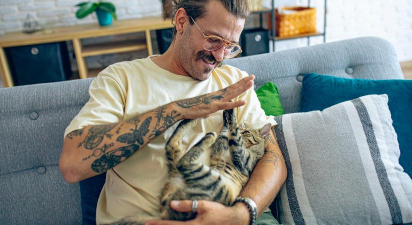 A macska nem csupán passzív megfigyelő a családban: így tükrözi a gazdát