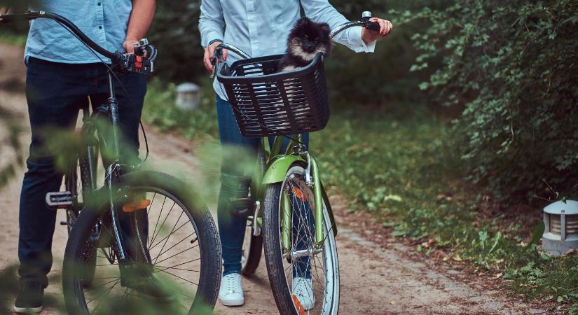 Aláírásgyűjtés indult a biztonságos közlekedésért Tokodaltáró és Esztergom-Kertváros között