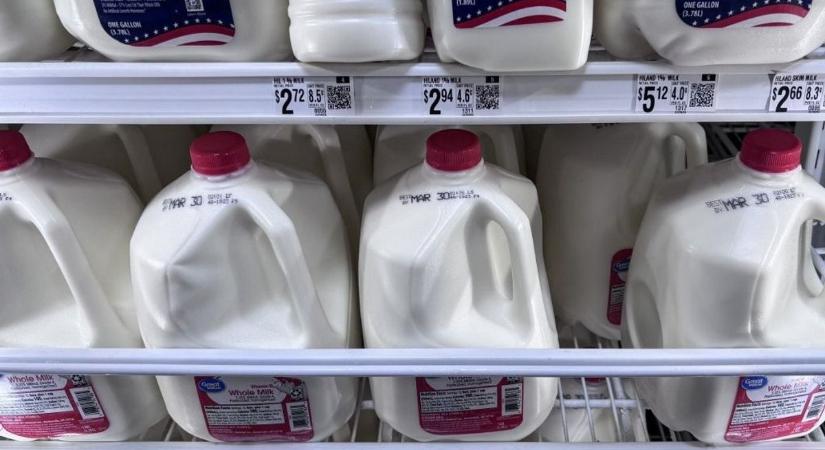 Új tejhatalom született Magyarország szomszédjában: jóváhagyták a gigantikus üzletet, összeolvad két agrárcég – megváltozik a gazdák sorsa