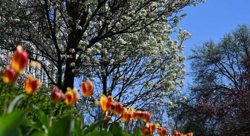 Különleges program érkezik Nyíregyházára – erről nem érdemes lemaradni!