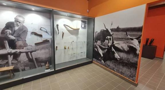 A jószág, s annak haszna – kurátori szemmel egy kiállításról