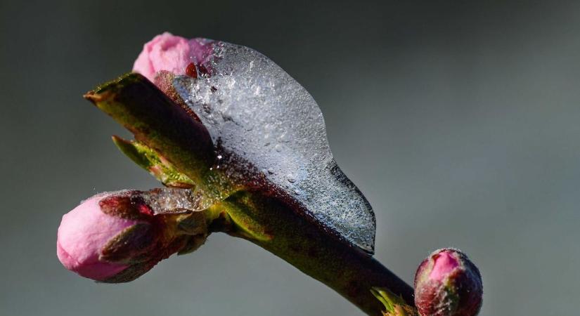 Hiába múlt el a húsvét, kedden visszatér a fagy Magyarországra