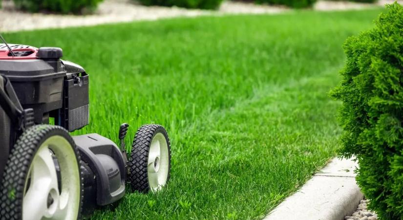 Nagyon sokan nem megfelelően vágják a füvet – egyszerű trükk a természet védelméért (videó)