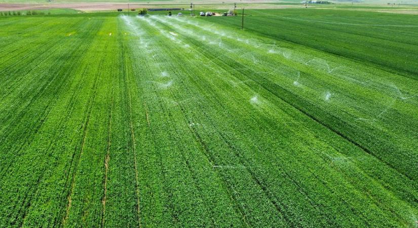 Végre! Megmenekülhet a Homokhátság: Megkezdődött a vízpótló rendszer utolsó szakaszának építése