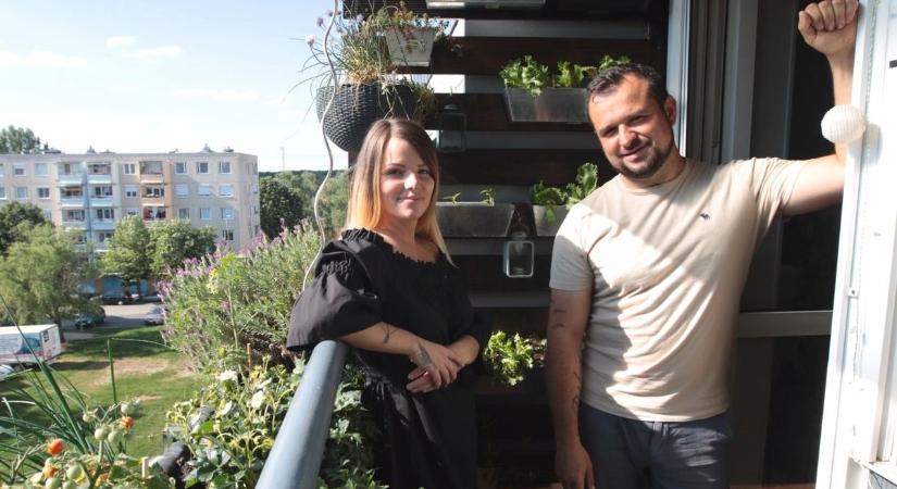 Ezek a zöldségek szinte kérik, hogy az erkélyre ültesd őket! Így lesz a balkontermés finom, bőséges