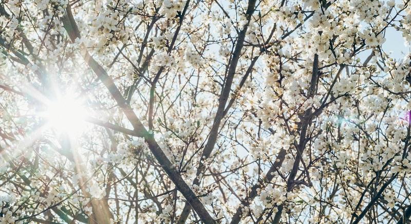 Az átlagosnál hidegebb lesz a következő hetekben – Milyen idő várható a május 1-jei hosszú hétvégén?