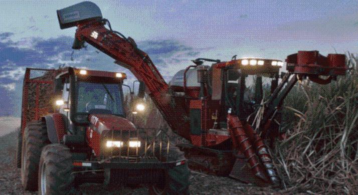 Már az élelmiszerárakban is látszik a közel-keleti konfliktus hatása