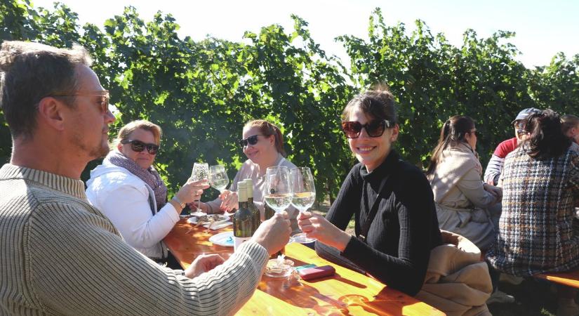 Kedvünkre ehetünk és ihatunk: jön a Pálinkafesztivál Kárászra!