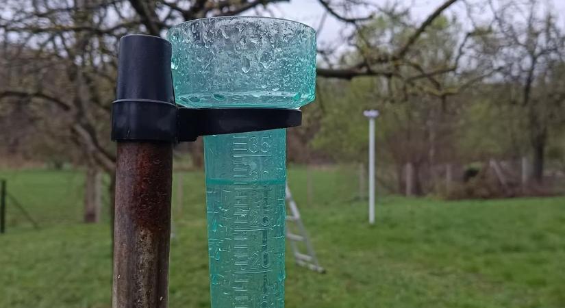 Enyhe volt a márciusunk idén, egy kis hóval, extra csapadékkal a Bakonyban