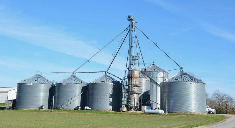 Fontos hír érkezett a gabonatárolásról: cseh tudósok kutatása mentheti meg a termést