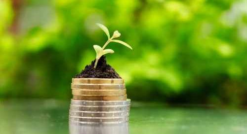 Nehéz piaci környezetben is erősödni tudott az MBH Bank az agrárfinanszírozásban