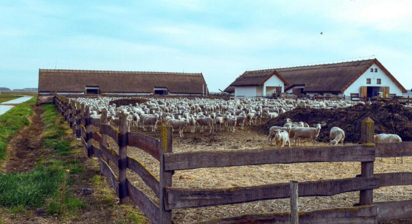 Milliárdos támogatás jut a tanyák infrastrukturális fejlesztésére