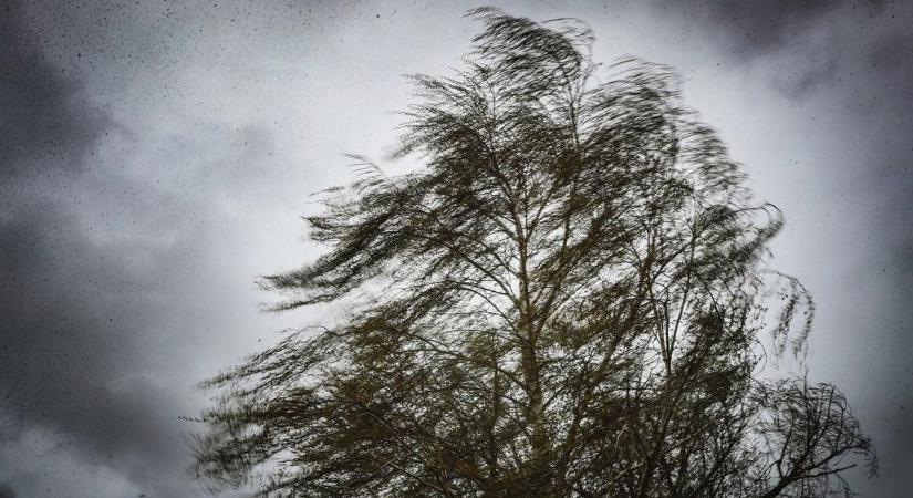 Hatalmas fa dőlt egy házra Debrecenben! Brutális, ahogy a szél belemart a városba