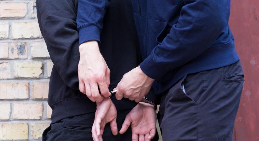 Kegyetlen állatkínzás: halálra éheztette kutyáti egy hódmezővásárhelyi nő