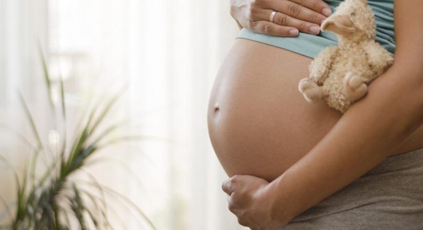 Ingyenes segítség kismamáknak: itt érhetők el a legjobb babaváró csomagok!