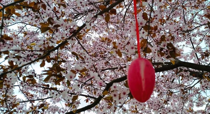 A húsvéti hosszú hétvége legjobb fotói egy helyen