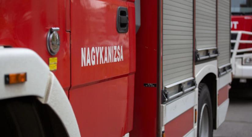 Lángra kapott az aljnövényzet a Nagy Lajos utca közelében