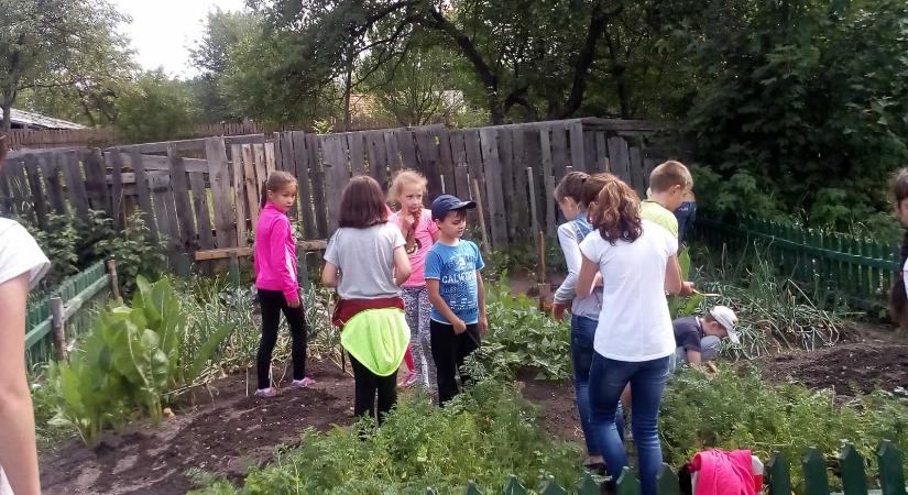 Elindult a Hargita megyei Kiskertész Program veteményezési szezonja