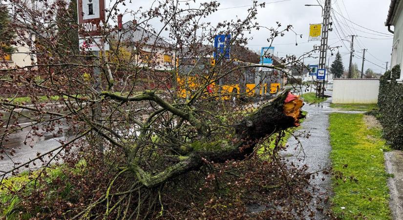 Viharos kedd érkezik: csak egyetlen országrészben nem kell tartani az erős széllökésektől