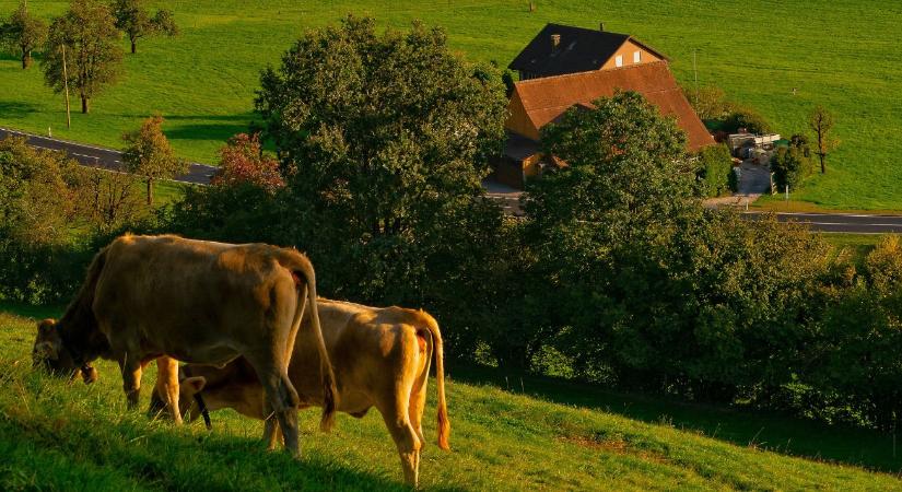 Áram, víz és szennyvízkezelés: akár 25 milliót is kaphatsz tanyafejlesztésre