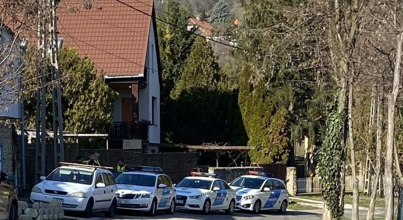 Most összefogásra van szükség: eltűnt egy 13 éves angol kisfiú Baranyában