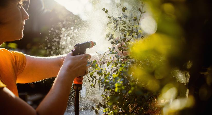 Csak így menthető meg a magyar gyümölcs? Nem maradt több idő, lépni kell