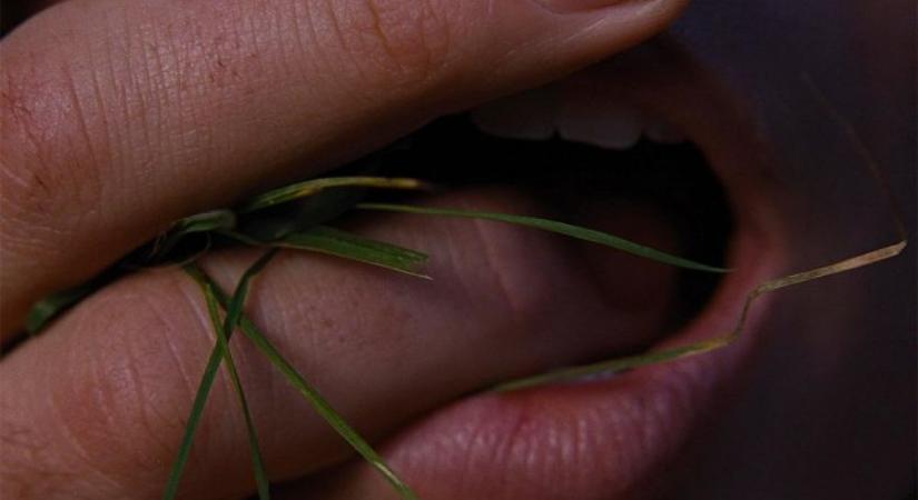 Üvöltő szelek: Más szelek fújnak (kritika)