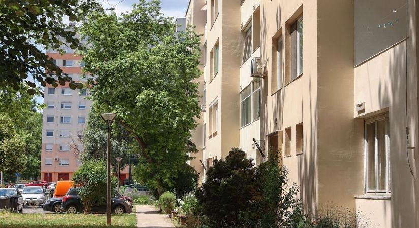 Veszélyes örökség az otthonokban – most pénzt adnak a felszámolására