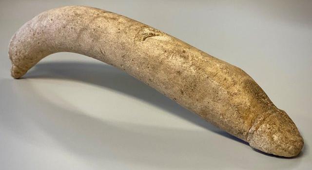 Egyedülálló római csontfallosz került elő egy raktárból