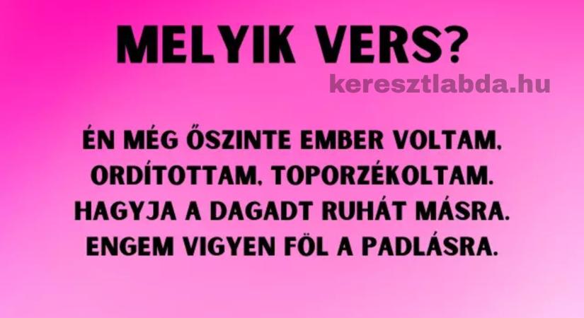 Napi irodalom feladat: József Attila, Petőfi vagy Arany? Felismered a verset?