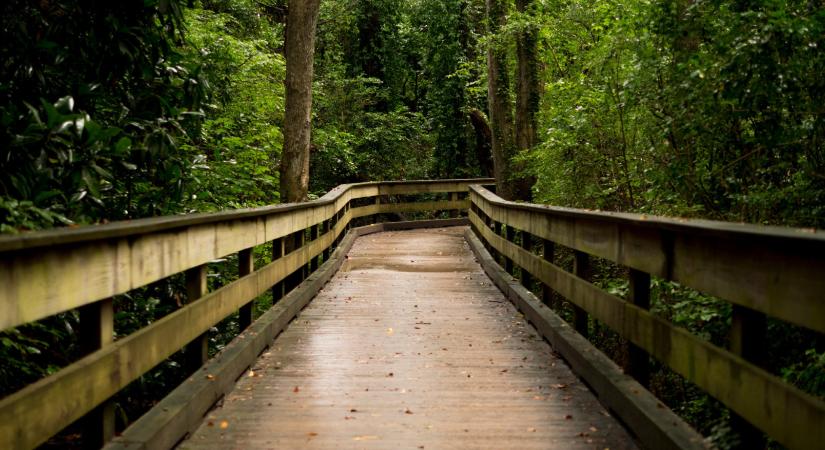 Kedvenc tanösvényeink az áprilisi kirándulásokhoz