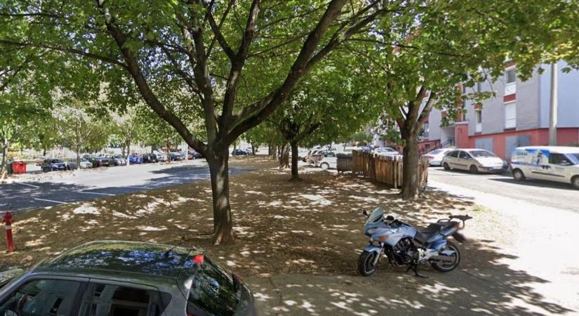 Mérgezik a kutyákat Pécs forgalmas terén? Több gazdi is jelezte, hogy nagy a baj!