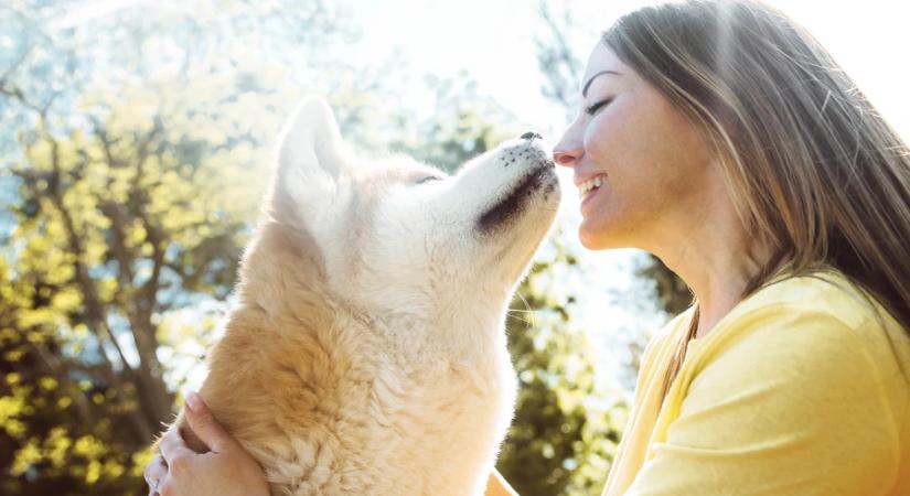 Kimutatták: sok nő a gyereknevelés előszobájaként tekint a kutyatartásra