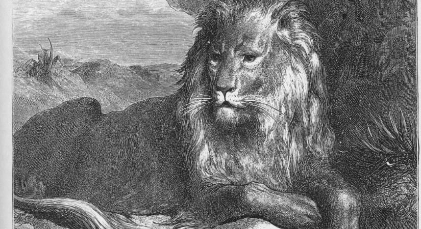 A kegyes oroszlán nem falja fel a nyavalyás férgecske egeret a mesében, amit Orbán idézhetett Putyinnak