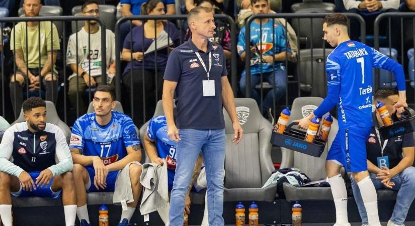 A Farkasok segítettek a Tigriseknek