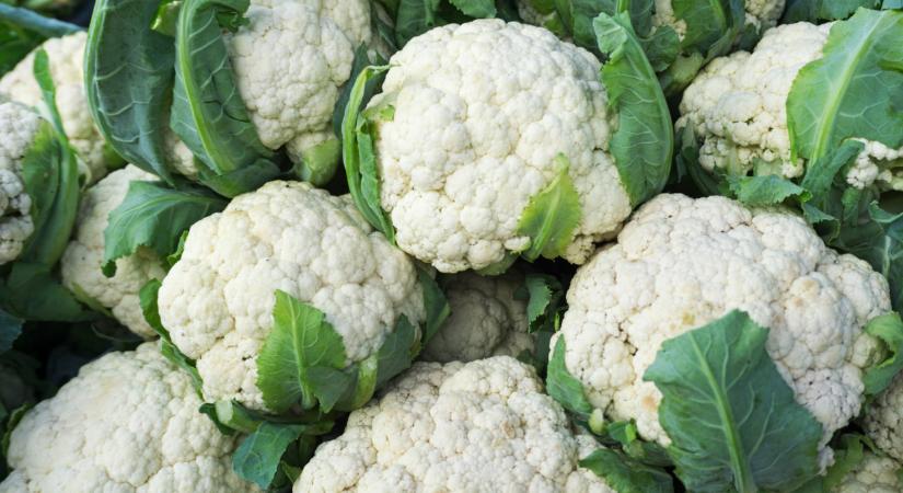 Senkinek sem kell ez a zöldség: hegyekben áll az eladatlan áru