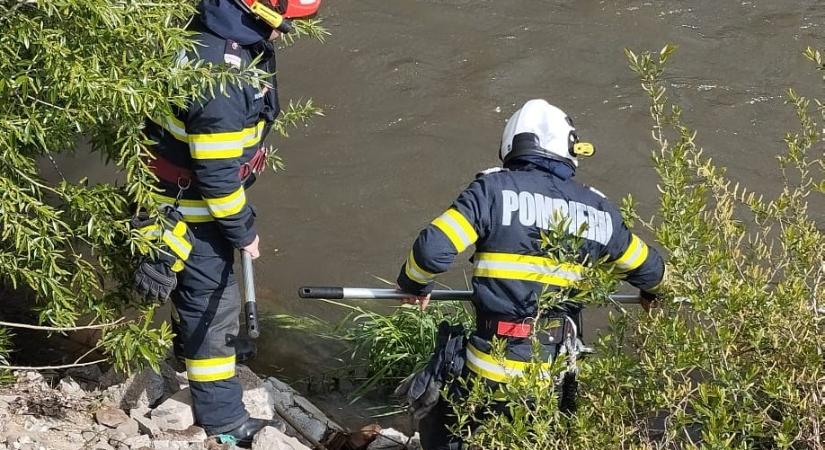 Őzet emeltek ki a Marosból Marosvásárhelyen
