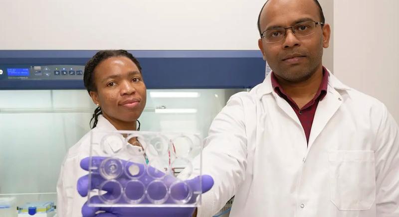 Erre az áttörésre várhatott a rákkutatás: 3D-nyomtatott kapszulák pusztítják a daganatot