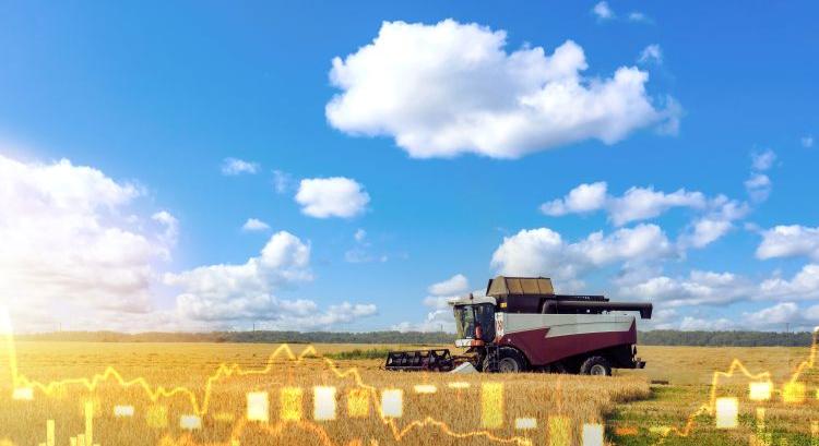 Megtorpant a hitelfelvétel a mezőgazdaságban