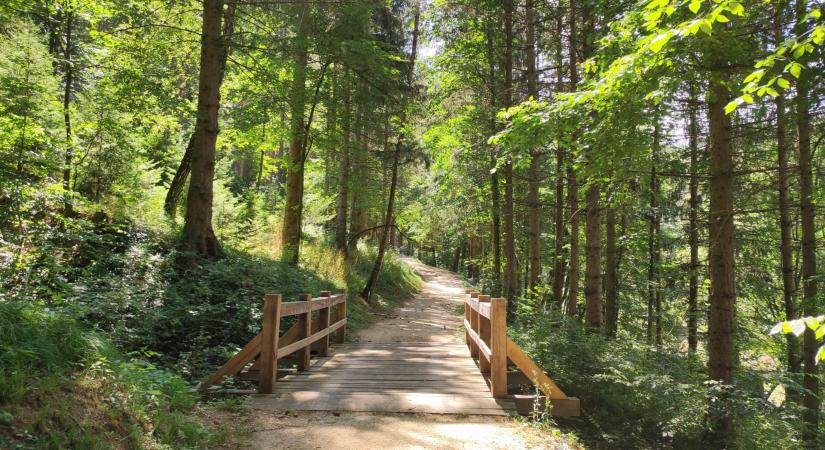 Kalandra fel! 10 könnyű tavaszi kirándulás gyerekekkel