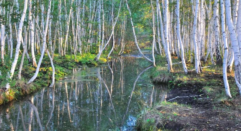 Vízbe ugrott félelmében: kiskorú veszélyeztetése miatt vádat emeltek az apa ellen