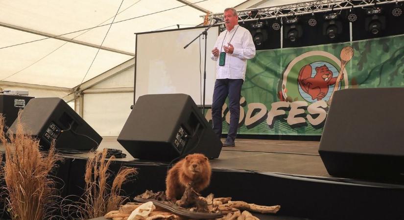 Szinte minden vasi pályázat nyert: 138 millió forint érkezik a megye értékeire