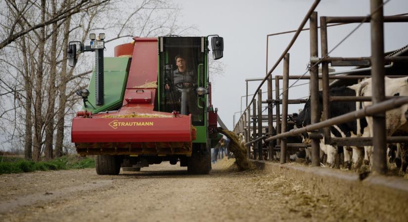 Kevesebb veszteség, pontosabb adagolás: technológiai ugrás a marhatartásban (VIDEÓ)