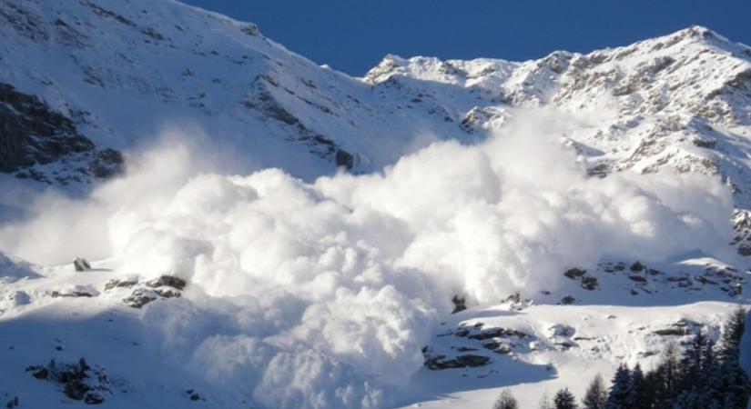 Hólavinaveszélyt hirdettek a Kárpátokban