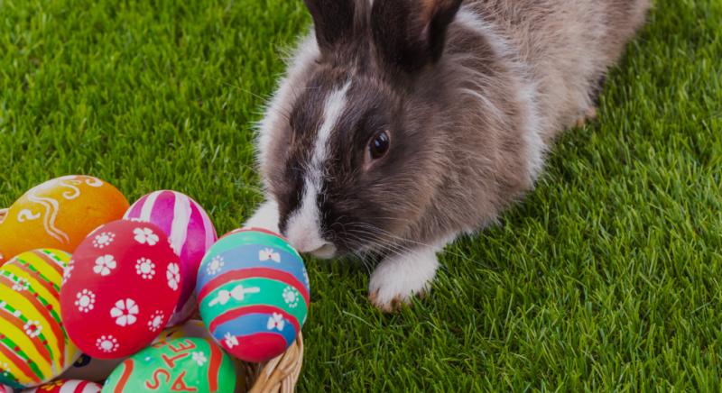 Két év börtön járhat a húsvéti ajándékok miatt