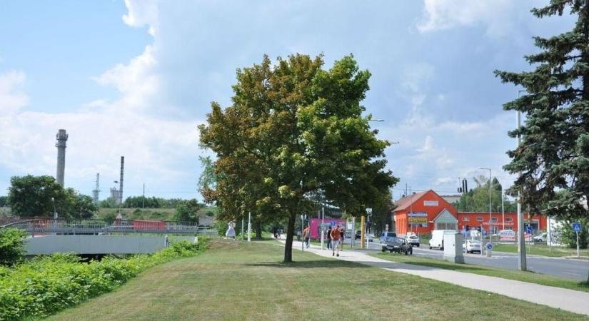 Harminc új fa kap otthont Szentgotthárd közterületein